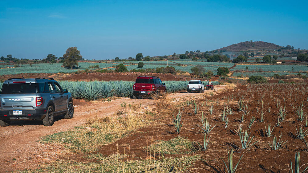 St Barth Bartender Trip - Mexico - June 2022
