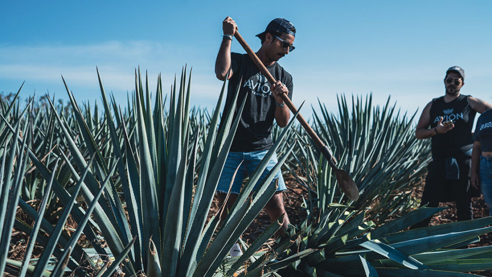 St Barth Bartender Trip - Mexico - June 2022