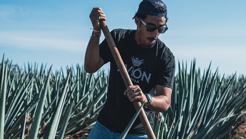 St Barth Bartender Trip - Mexico - June 2022