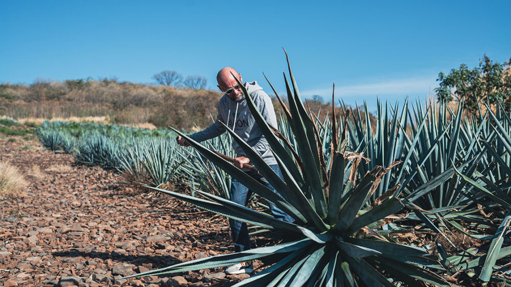 St Barth Bartender Trip - Mexico - June 2022