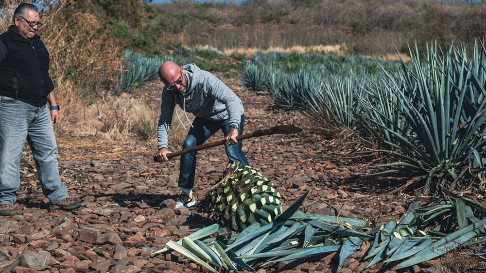 St Barth Bartender Trip - Mexico - June 2022