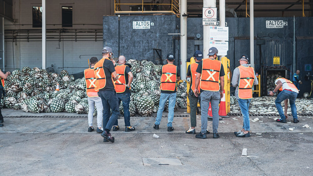 St Barth Bartender Trip - Mexico - June 2022