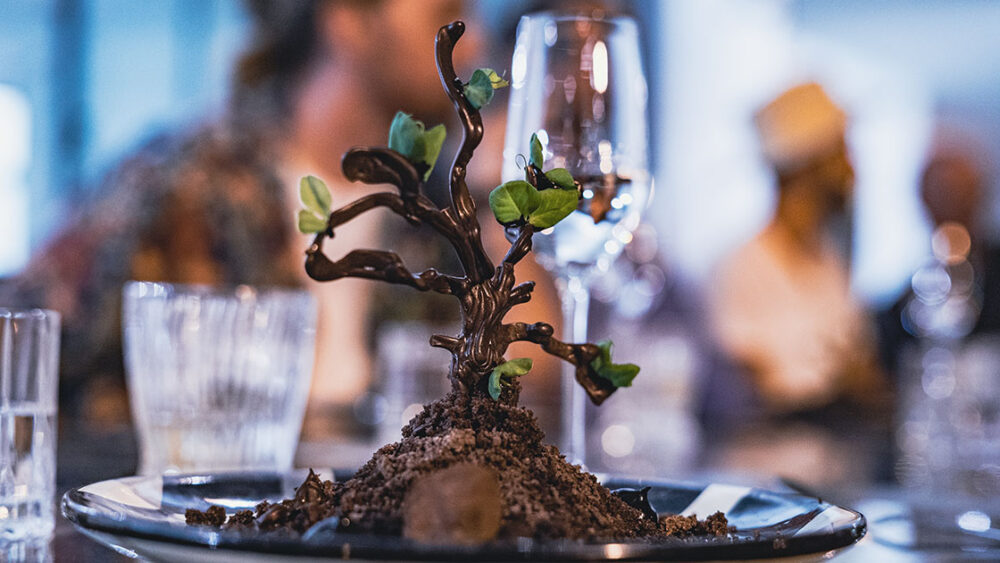 St Barth Bartender Trip - Mexico - June 2022